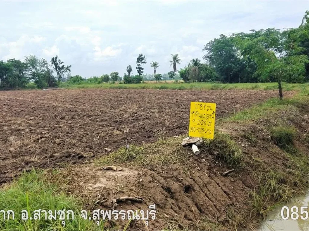 ขายที่ดินสามชุกโฉนด ตหนองผักนาก สุพรรณบุรี เกือบ 10 ไร่