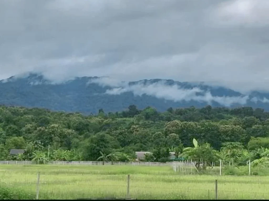 ขายที่ดินวิวดอย แม่ริม ท่ามกลางหุบเขา ราคาถูก