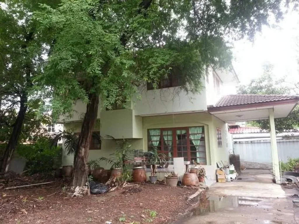 บ้านให้เช่า บ้านสุขุมวิท 1011