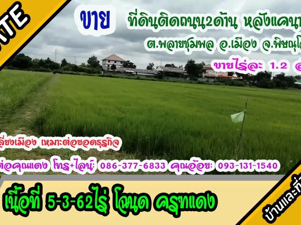 ขายที่ดิน ใกล้ถนนเลี่ยงเมือง 5ไร่3งาน62ตรว ตพลายชุมพล อเมืองพิษณุโลก ไร่ละ 12ล้าน