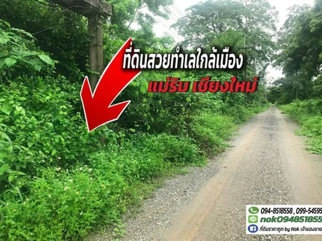 ขายที่ดินแม่ริมเชียงใหม่