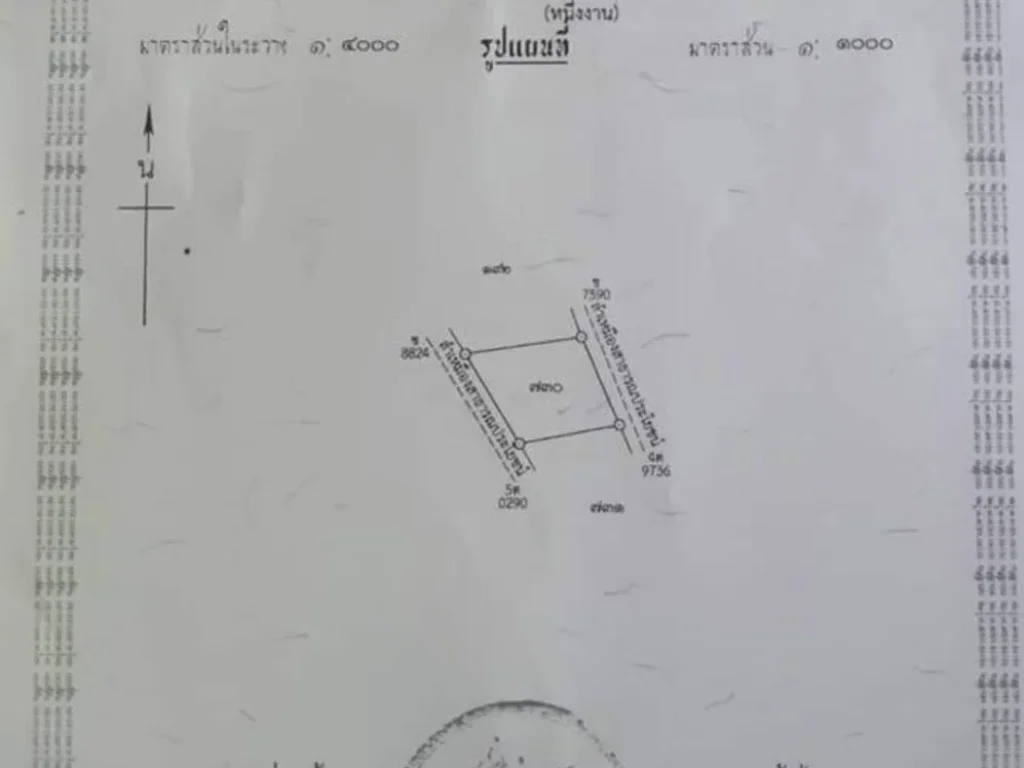 ขายที่ดินพญาชมภู สารภี ถนนคอนกรีต ราคาถูก