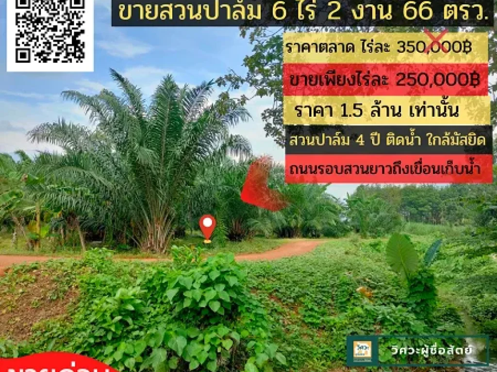 ขายสวนปาล์มสตูล 6 ไร่ 2 งาน 66 ตรว 15 ล้าน ติดคลอง ใกล้มัสยิด เจ้าของขายเองด่วน