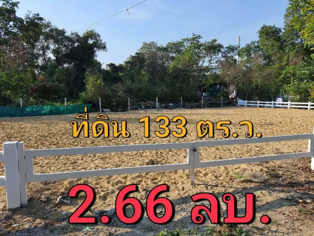 ขายที่ดินบางคูวัด 133 ตารางวา แปลงมุม ถมแล้วทั้งแปลง ใกล้ถนน 345 อำเภอ เมืองปทุมธานี