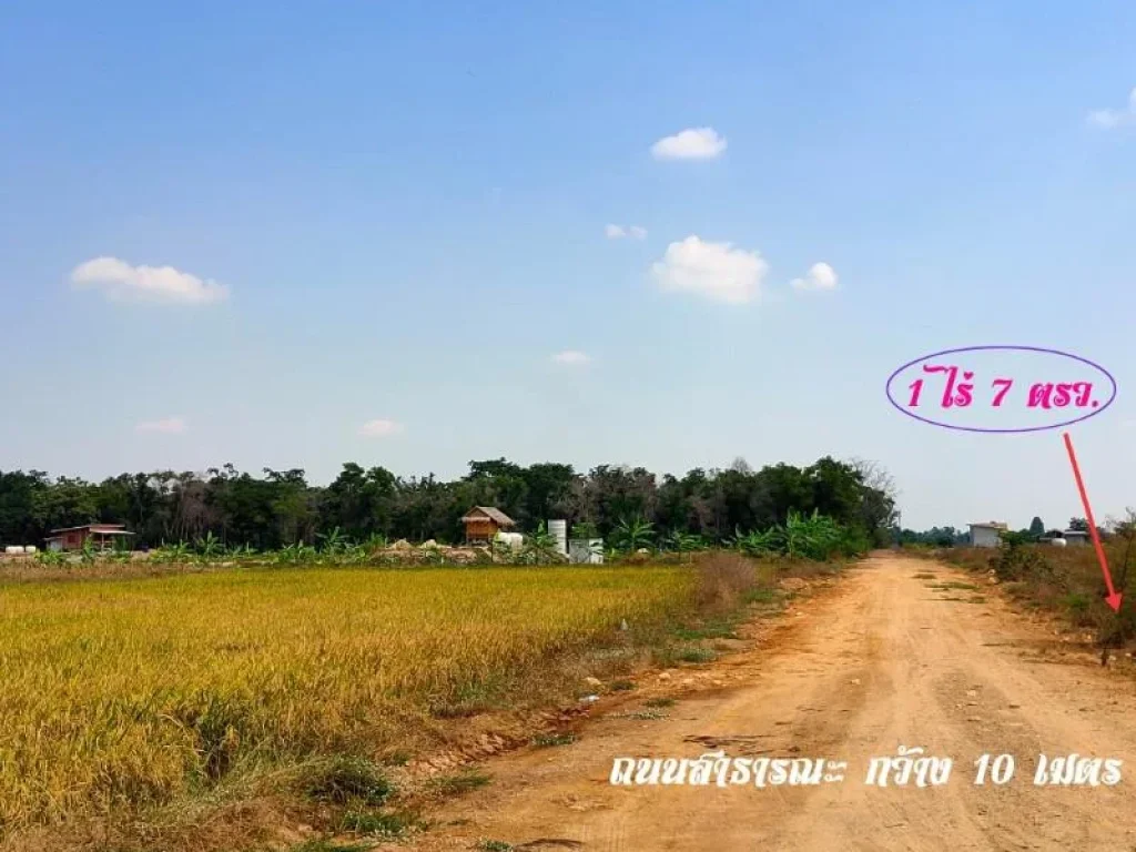 เหมาะมาทำบ้านสวน1ไร่ 7ตรว