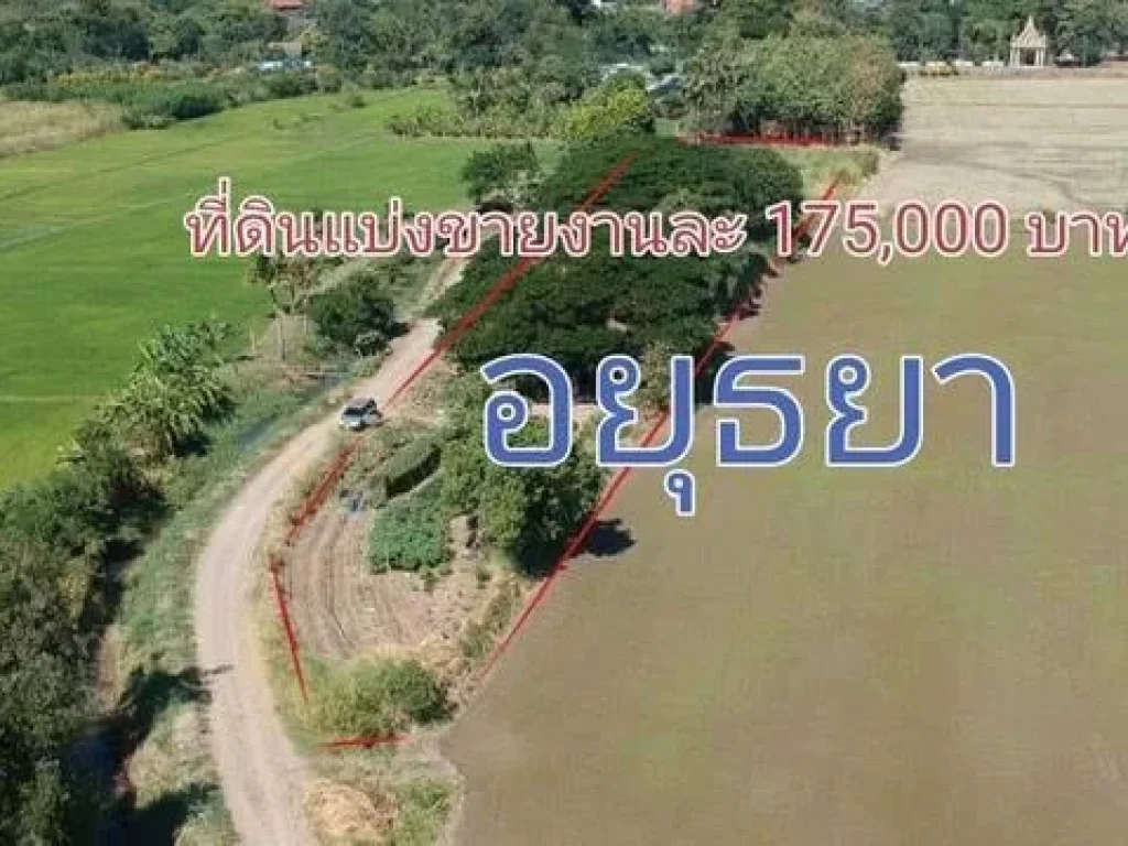 ขายที่ดิน แบ่งขาย 2 งาน งานละ 350000บาท ตนครหลวง อนครหลวง จพระนครศรีอยุธยา 093-441-5691 เกริก