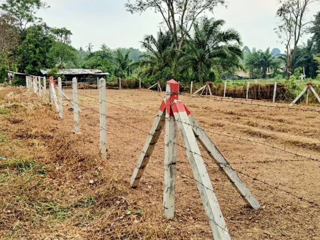 ที่ดินสวย50ตรวหนองเกตุน้อย