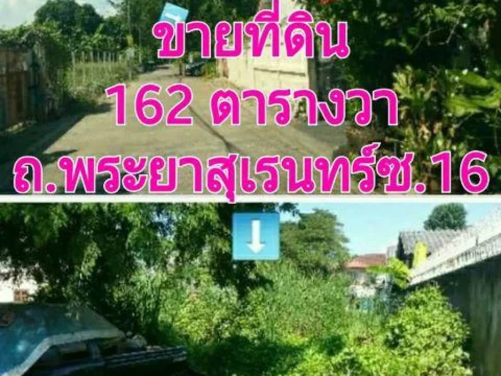 ขายที่ดิน 162 ตารางวา ถรามอินทรา ซ 109ถพระยาสุเรนทร์ ซ 16 แยก 1-7 เขตมีนบุรี กรุงเทพมหานคร