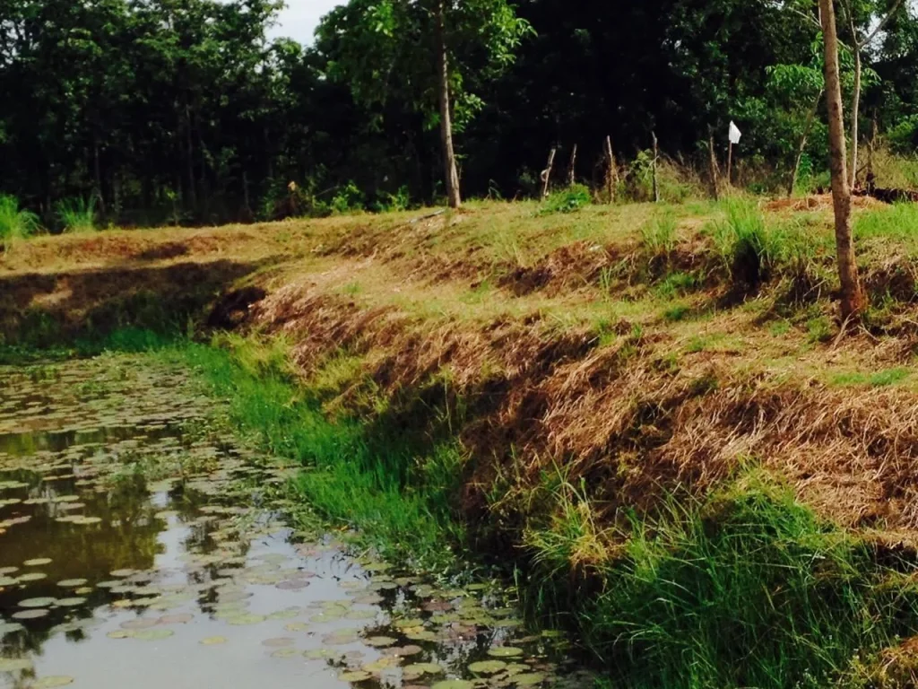 ที่ดินขอนแก่น2ไร่เจ้าของขายเอง