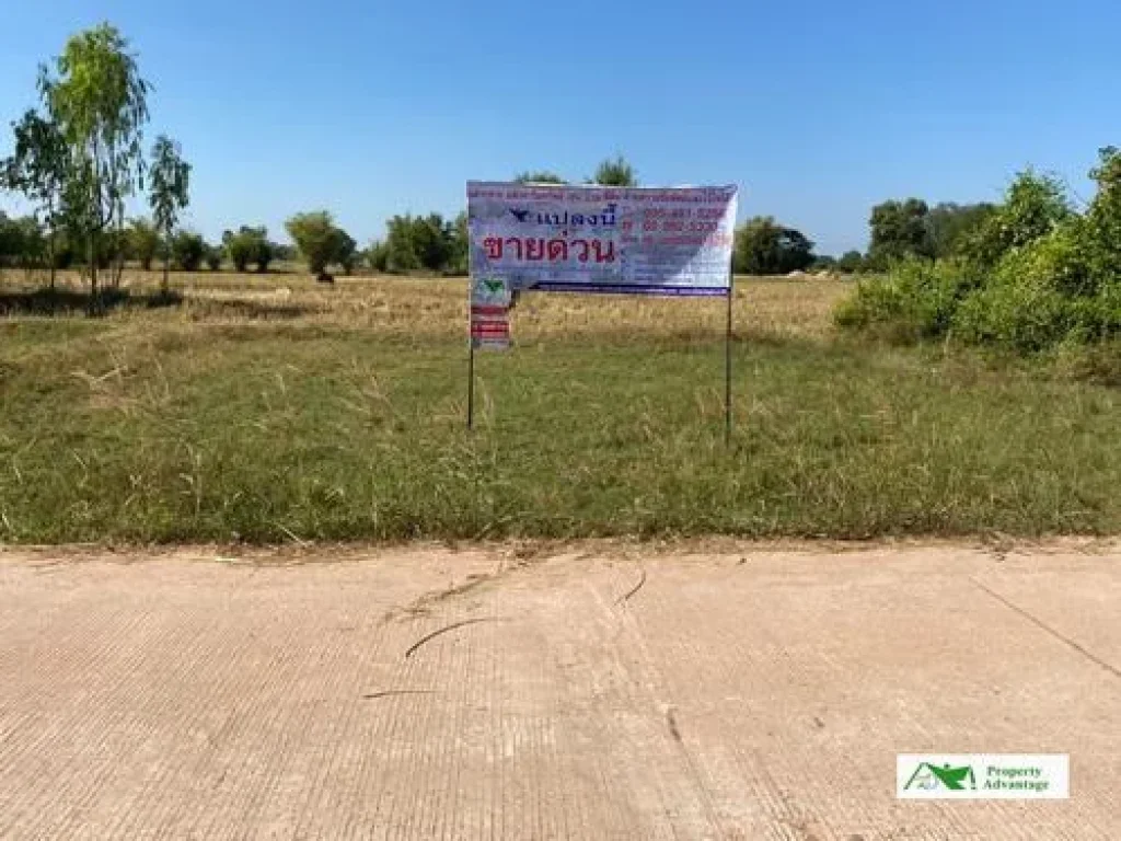 ขายที่ดินเปล่า 100 ตรว ตนาดี อเมือง อุดรธานี