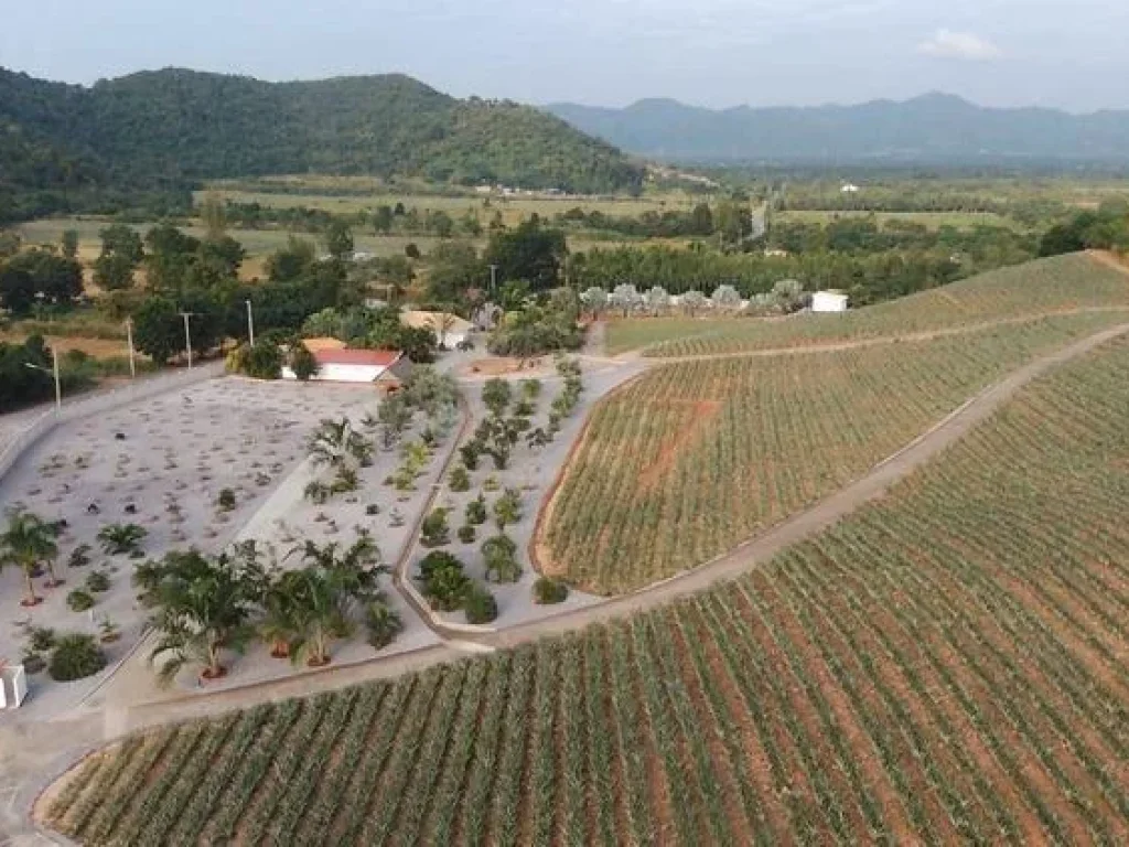 เจ้าของขายเอง บ้านพร้อมที่ดินสไตล์รีสอร์ท ใกล้สี่แยกปราณบุรี 15 นาที บ้านพักส่วนตัวสไตล์รีสอร์ท คุณภาพเยี่ยม สัประรดสวย