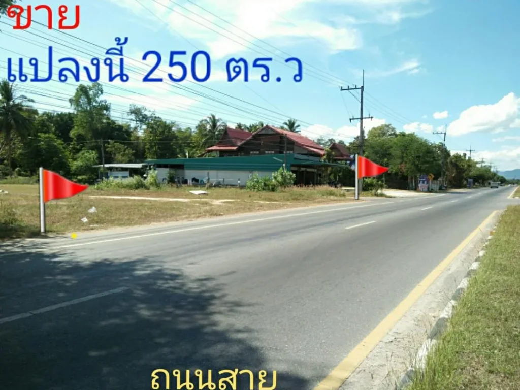 ขายที่ดิน ติดถนนทางหลวงแผ่นดิน สายมุกดาหาร-คำชะอี ทล12 เนื้อที่ 250 ตรว ทำเลดี ทำเลเด่น ทำเลค้าขาย