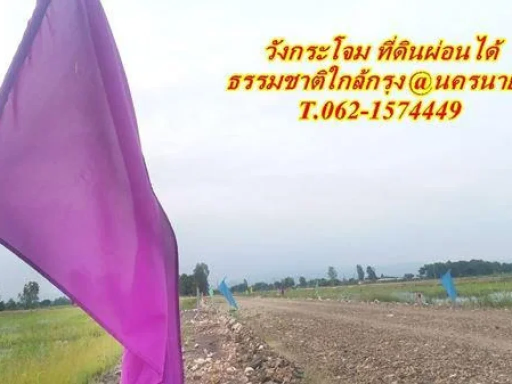 วังกระโจมที่ดินผ่อนได้ธรรมชาติใกล้กรุง T062-1574449