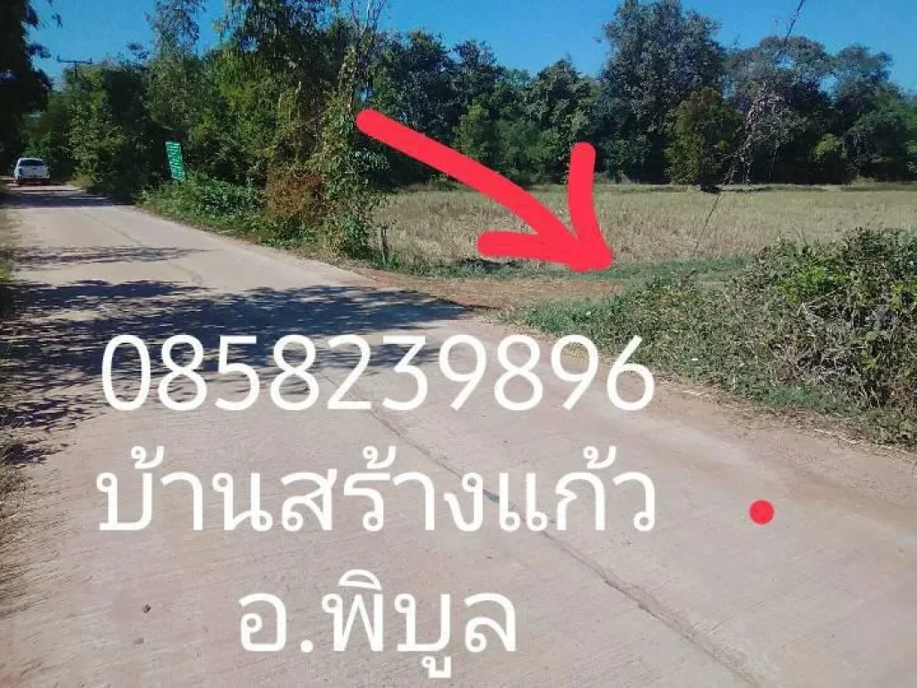 ขายที่นาติดถนนคอนกรีต14ไร่ๆละ140000พร้อมโอนไห้ นางามที่งาม ห่างถนน4เลนไปพิบูล2กมไปง่ายมาสะดวกหายากละเด้อสนใจโทมาเด้อฟ้