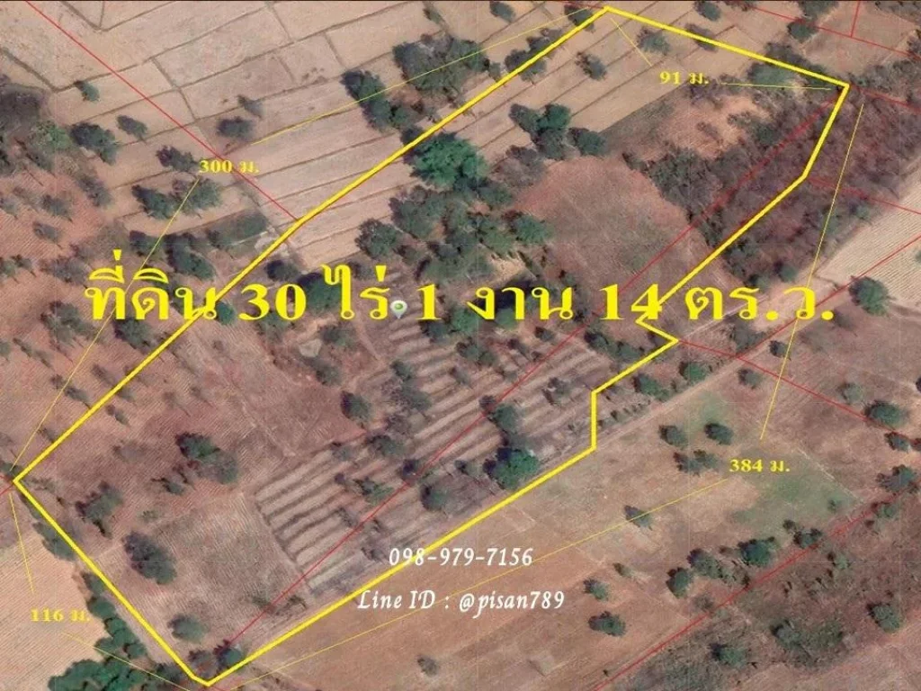 P96 ขายที่ดิน 30 ไร่ 1 งาน 14 ตารางวา ชัยภูมิ โฉนดพร้อมโอน ผังสีเขียวเข้ม