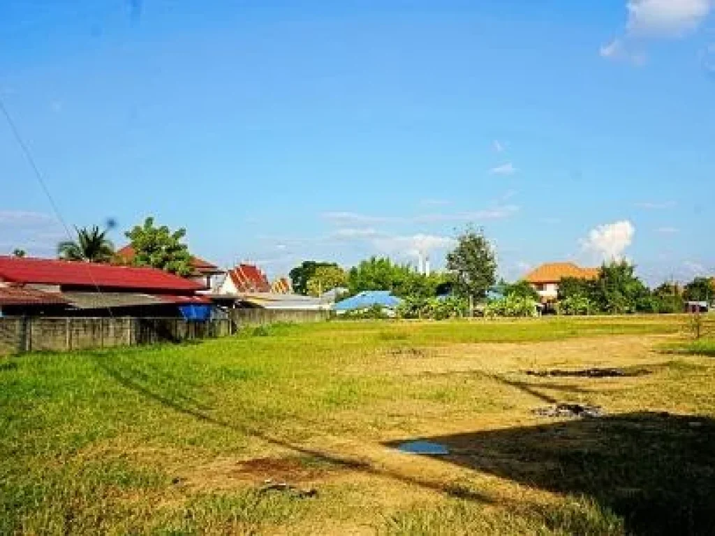 ขายที่ดิน บ้านป่าตาล ตำบลสันผักหวาน อำเภอหางดง จังหวัดเชียงใหม่