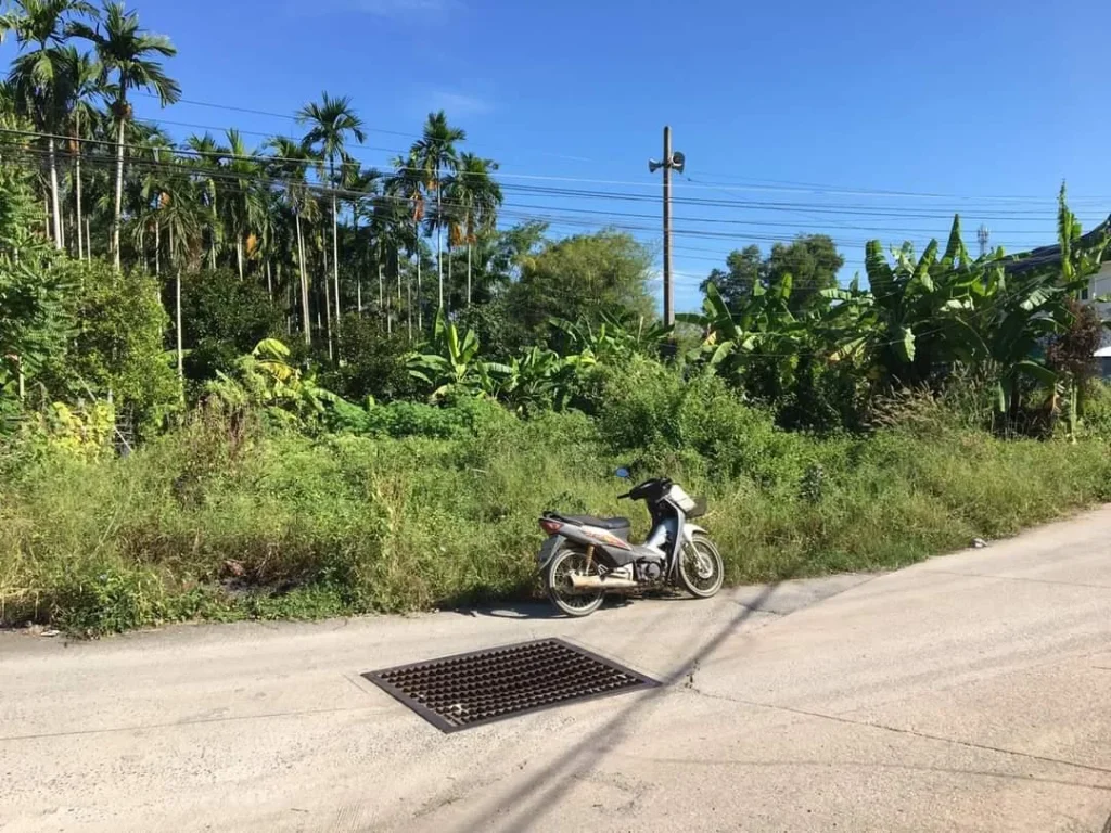 Ps234 ที่ดินแปลงสวย ติดถนนในตน้ำคอก อเมืองระยอง