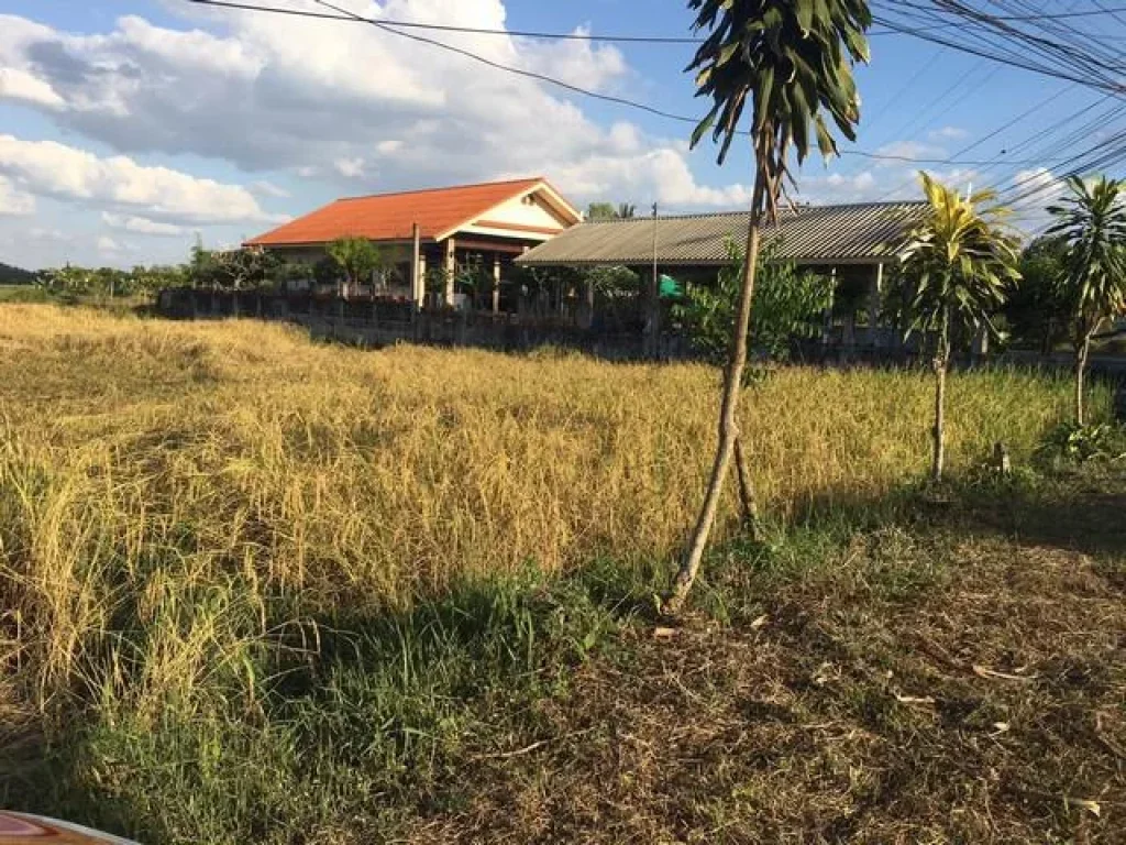 ขายที่ดินติดทางดำใกล้สะพานข้ามไทย-ลาว หนองคาย