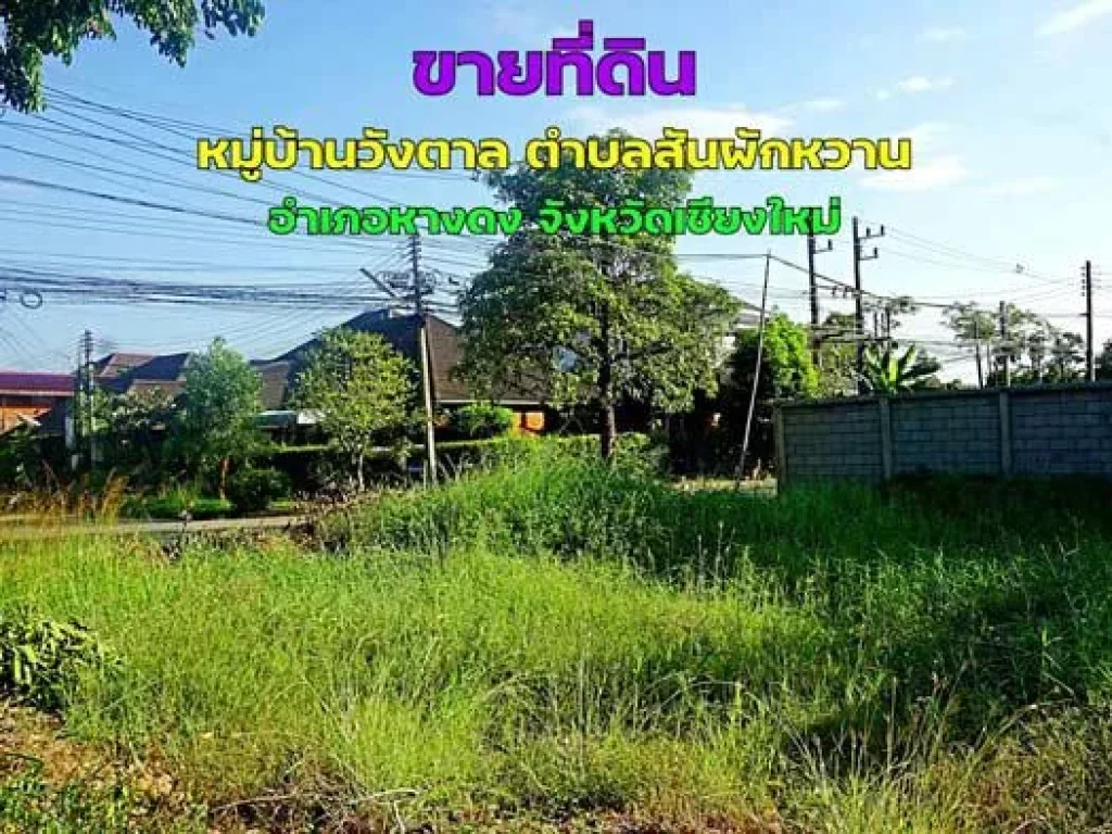 ขายที่ดิน แปลงหัวมุม หมู่บ้านวังตาล ตำบลสันผักหวาน อำเภอหางดง จังหวัดเชียงใหม่