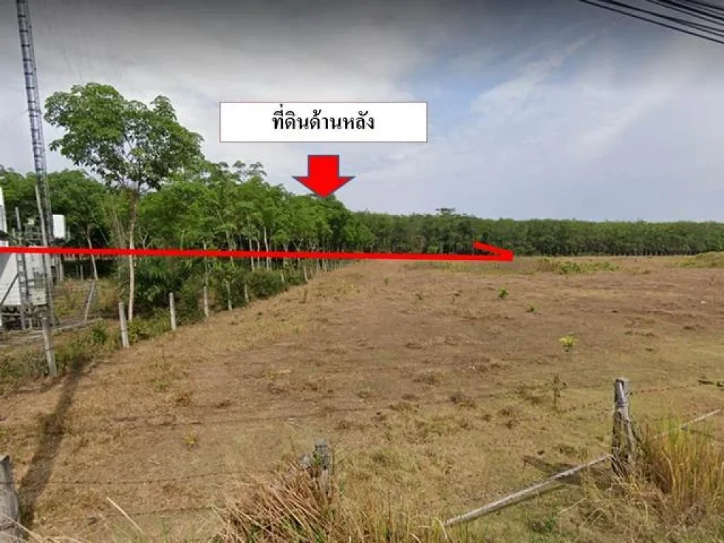 ขายที่ดินซอยธัญญะปุระ 25ไร่ ตะเคียน ถลาง ภูเก็ต