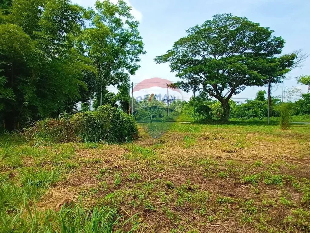 ขายที่ดินเปล่า ติดถนนเทศบาลบ้านดู่ อำเภอเมืองเชียงราย