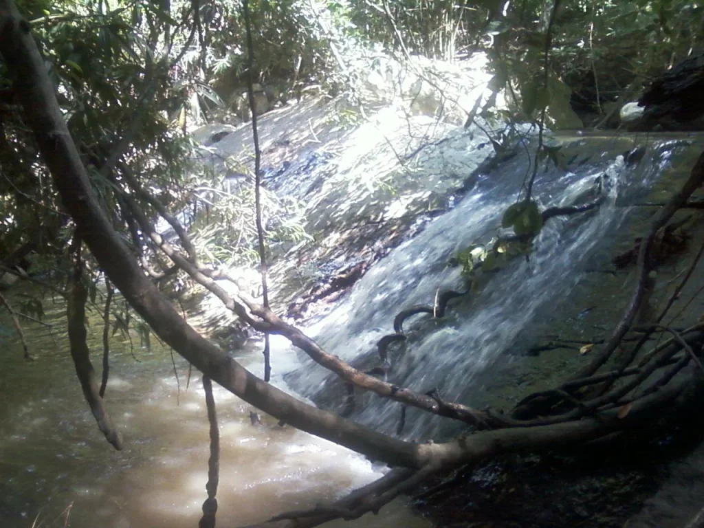 ขายที่ดินทำบ้านสวนติดลำธารสวย