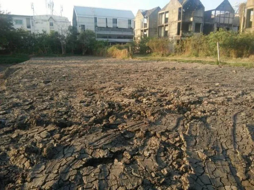 ขายที่ดินพัฒนาการ 200 ตรว ซอยพัฒนาการ 69 ประเวศ