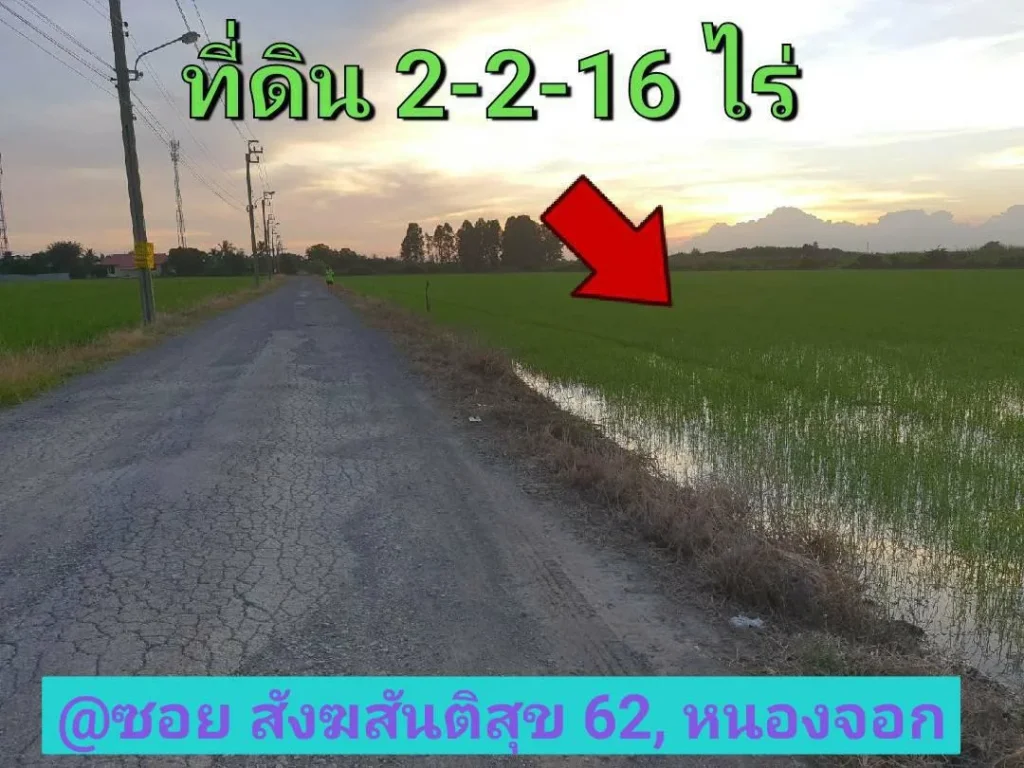 ขายที่ดินราคาถูก 2-2-16 ไร่ ติดถนนสาธารณะ ซอย สังฆสันติสุข 62 เขต หนองจอก กรุงเทพมหานคร