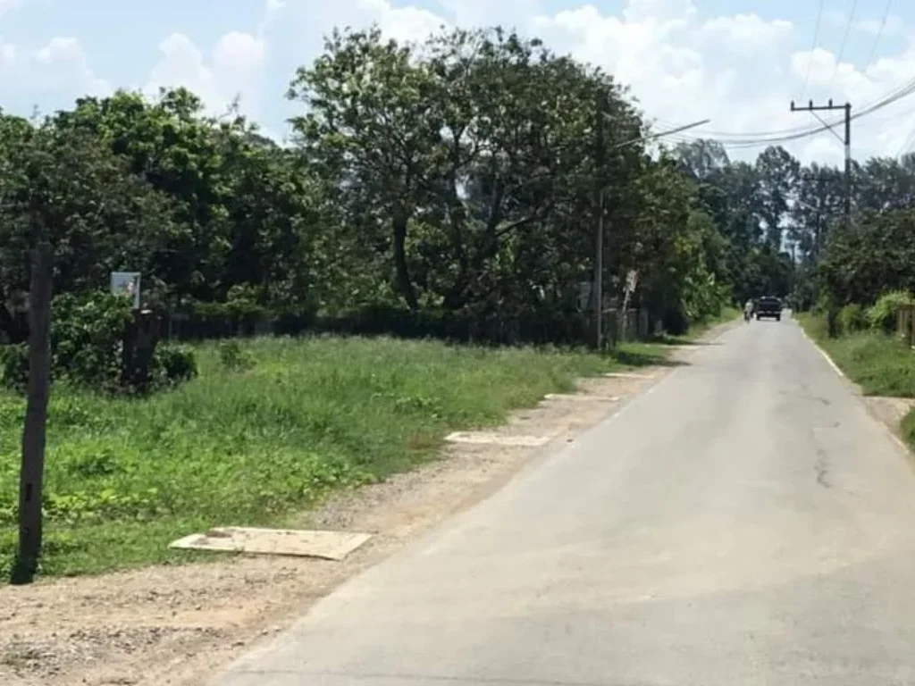 ขายที่ดินก่อนถึงโรงพยาบาลสารภี ถนนต้นยาง สารภี