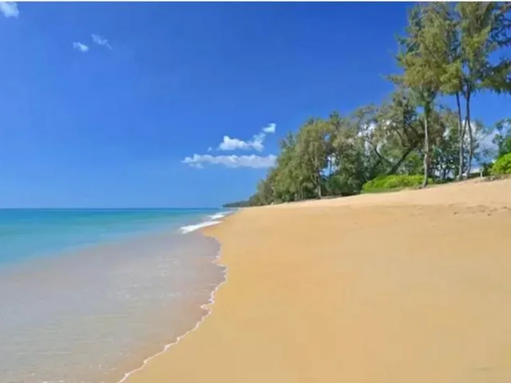 ขายที่ดินติดทะเลภูเก็ต 19 ไร่ ใกล้หาดในยาง