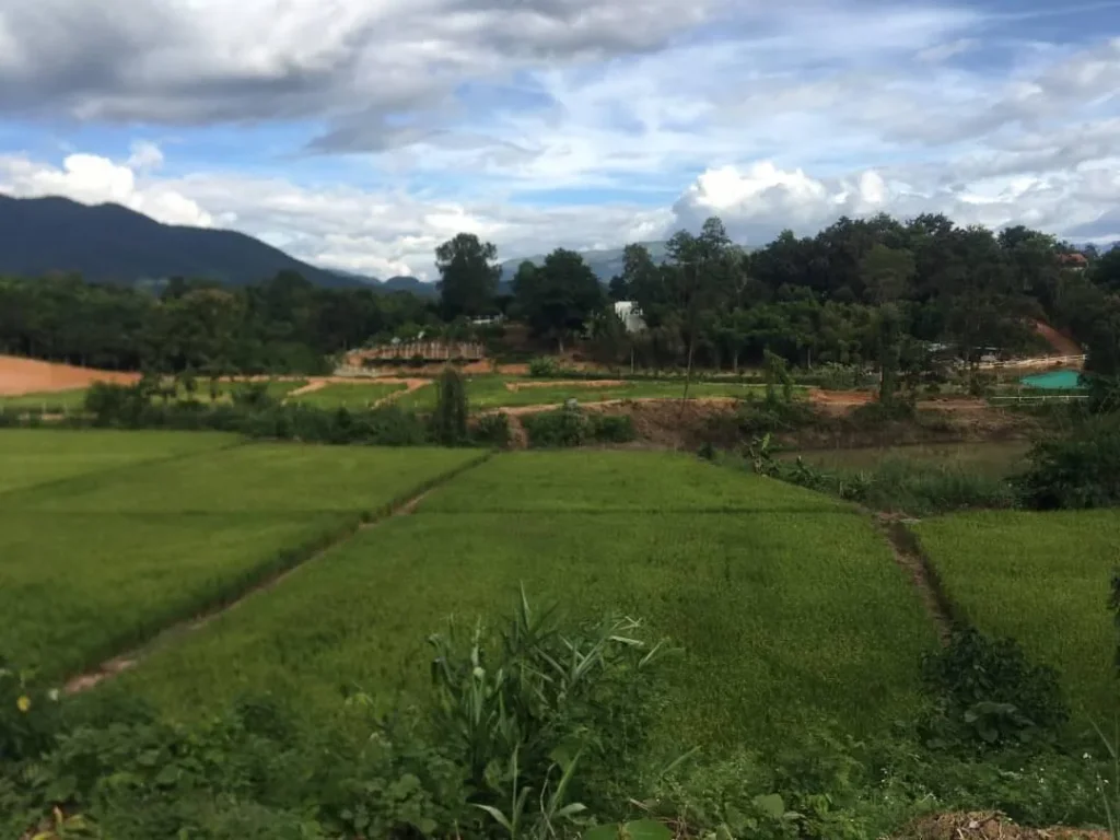 วิวสวยบรรยากาศดีถนนน้ำไฟพร้อม เหมาะทำรีสอร์ทและธุรกิจต่างๆ