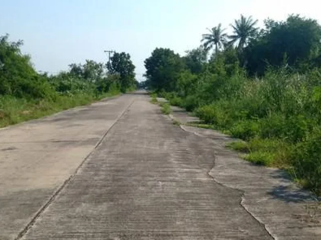 ขายด่วน ที่ดินทำเลทองเเปลงใหญ่ จังหวัดนนทบุรี