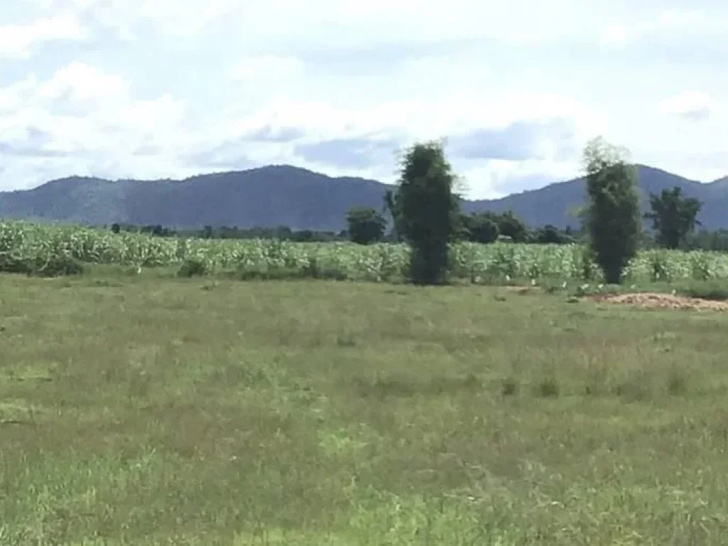  ที่ดินโฉนด 5 ไร่ไร่ละ 200000 บาท ถนนสาธารณะ ดินดี วิวภูเขาสวย