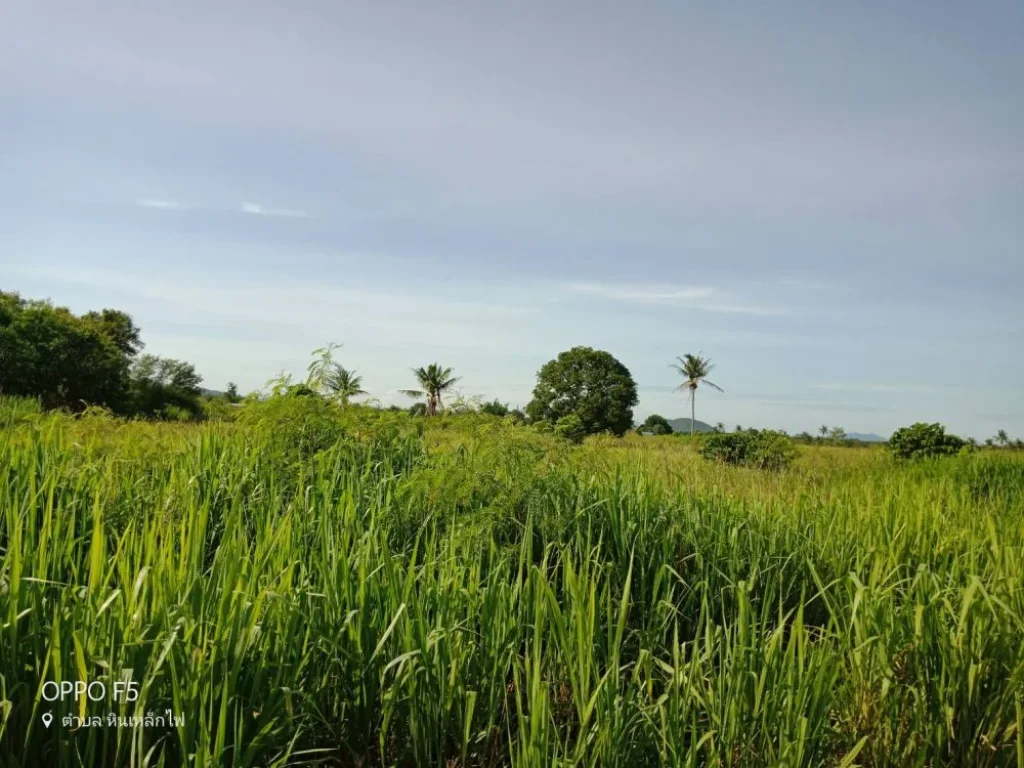 ขายด่วน ที่ดิน แปลงย่อม ๆ ซอยวัดนิโคร หัวหิน ประจวบคีรีขันธ์