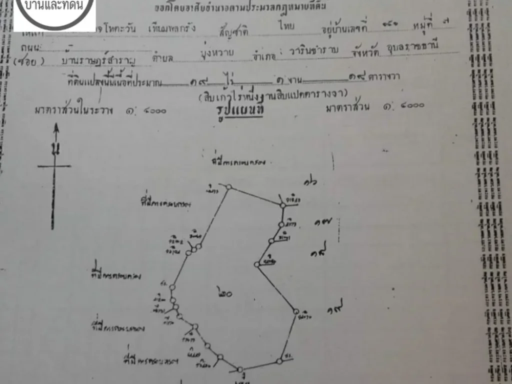 ขายที่ดินตรงข้ามริมธารโฮมสเตย์ 23 ไร่กว่า บ้านท่าลาดวารินฯ