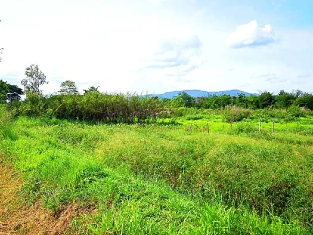 ขายที่ดิน หลังมหาวิทยาลัยแม่โจ้ ตำบลป่าไผ่ อำเภอสันทราย จังหวัดเชียงใหม่