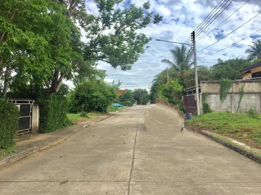 ขายที่ดินในโครงการติดถนนคอนกรีต แถวหนองควายหางดง เชียงใหม่