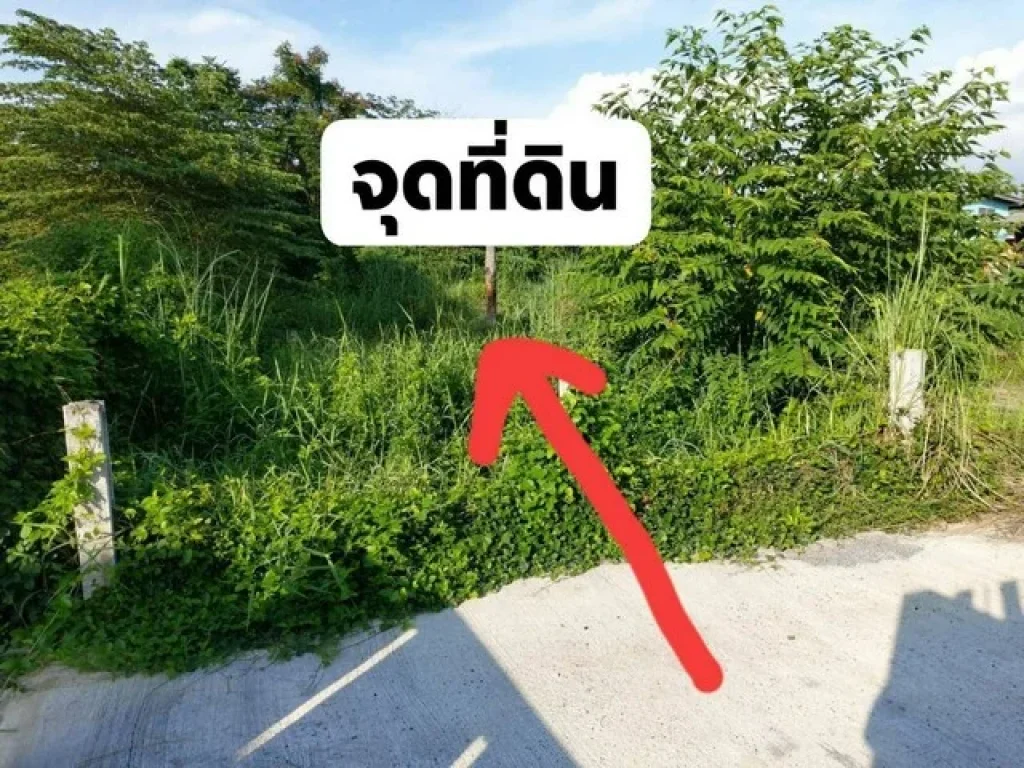 ขายที่ดินเปล่า 100ตรว น้ำ -ไฟเข้าถึง เหมาะสำหรับสร้างบ้าน อแปลงยาว จฉะเชิงเทรา