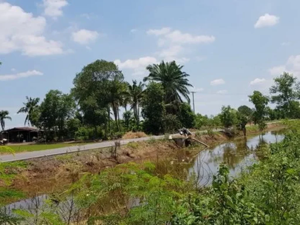 แบ่งขายที่ดิน รูปที่สี่เหลี่ยมสวยทุกล็อค คลอง 6 คลองหลวง ปทุมธานี เริ่มต้น 200 ตรว