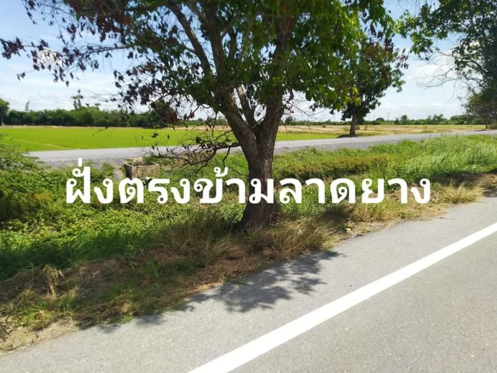 ขายที่ดินติดถนนลาดยางติดน้้ำติดคลองมีถนนหัวท้าย