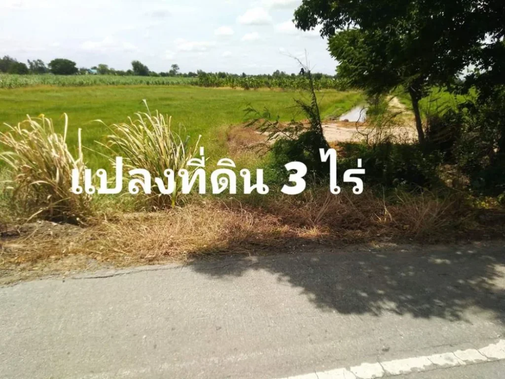 ขายที่ดิน 3 ไร่ติดถนนลาดยางเลทำเลดีเหมาะทำปั๊มน้ำมันบ้านสวนร้านค้าร้านอาหารร้านต้นไม้