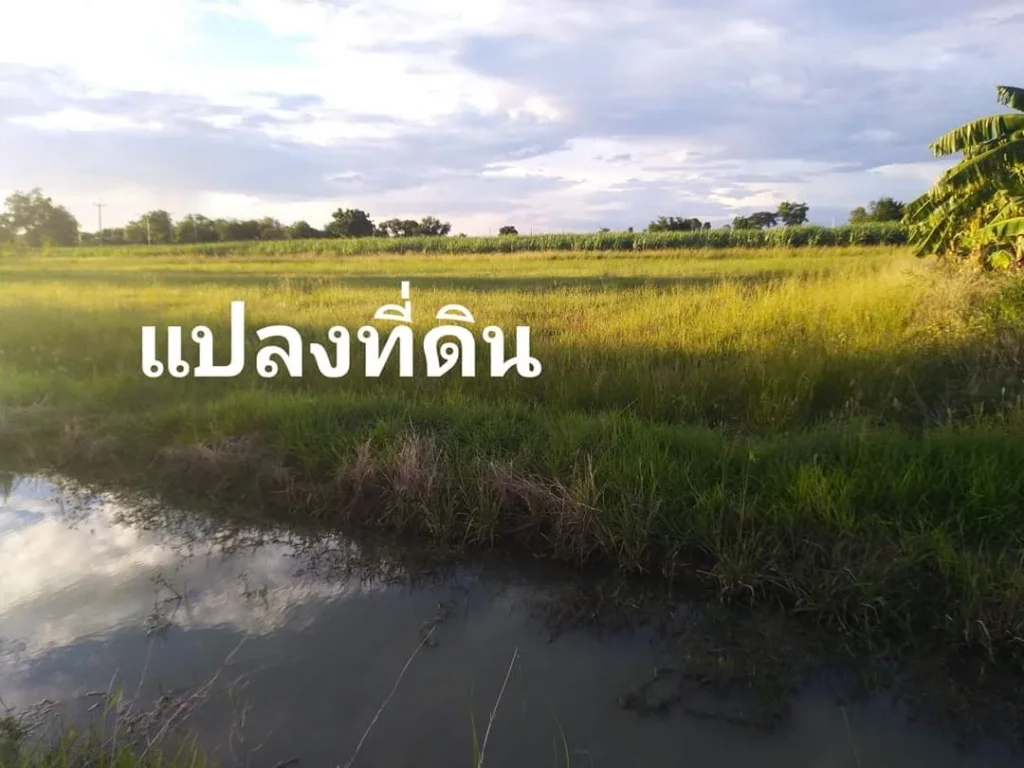 ขายที่ดิน 3 ไร่ติดถนนลาดยางเลทำเลดีเหมาะทำปั๊มน้ำมันบ้านสวนร้านค้าร้านอาหารร้านต้นไม้