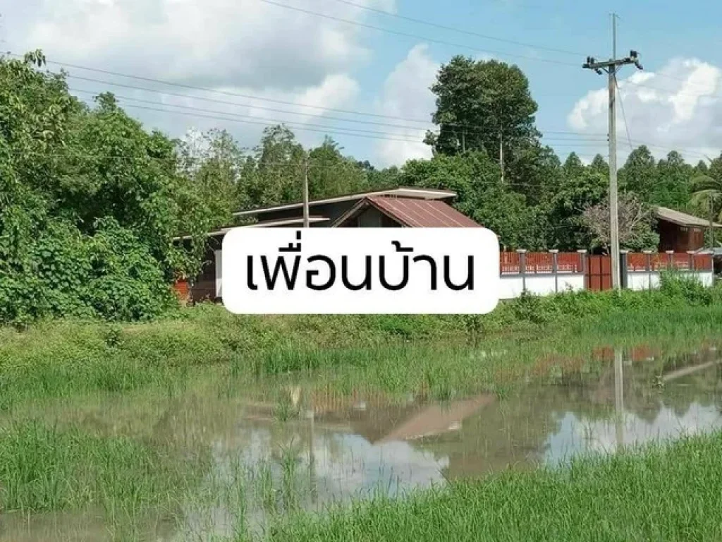 ขายที่ดิน1ไร่โฉนดครุฑแดง 400000 วิวเขา ห่าง ลำธารห้วงโสมง 200ม