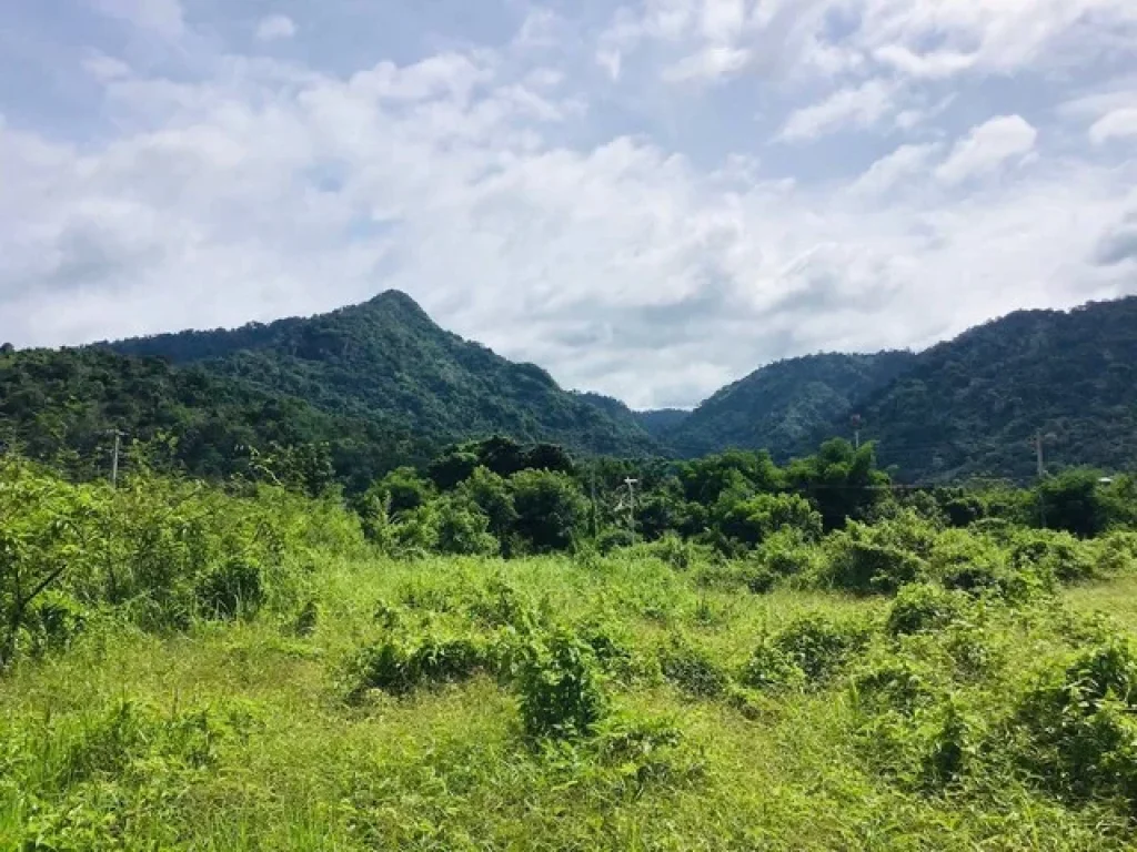 ที่ดินทำเลดี ติดแหล่งท่องเที่ยว จนครนายก เมืองธรรมชาติในฝัน ใกล้กรุงเทพฯ