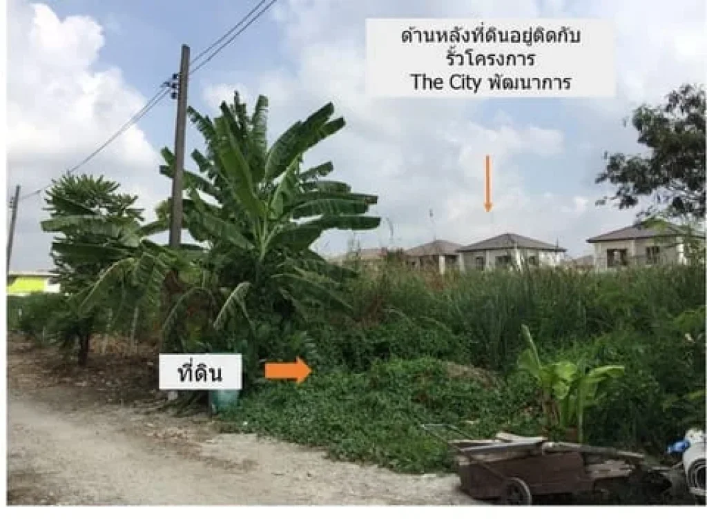 ขายที่ดินอ่อนนุช-พัฒนาการตัดใหม่ 180 ตรวา