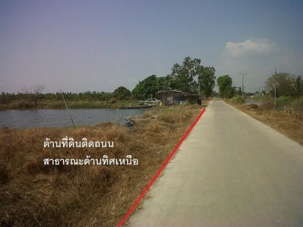 ขายที่ดิน 31 ไร่ ไร่ล่ะ 2800000 บาท ใกล้ถนน 2003 อบางบ่อ จสมุทรปราการ