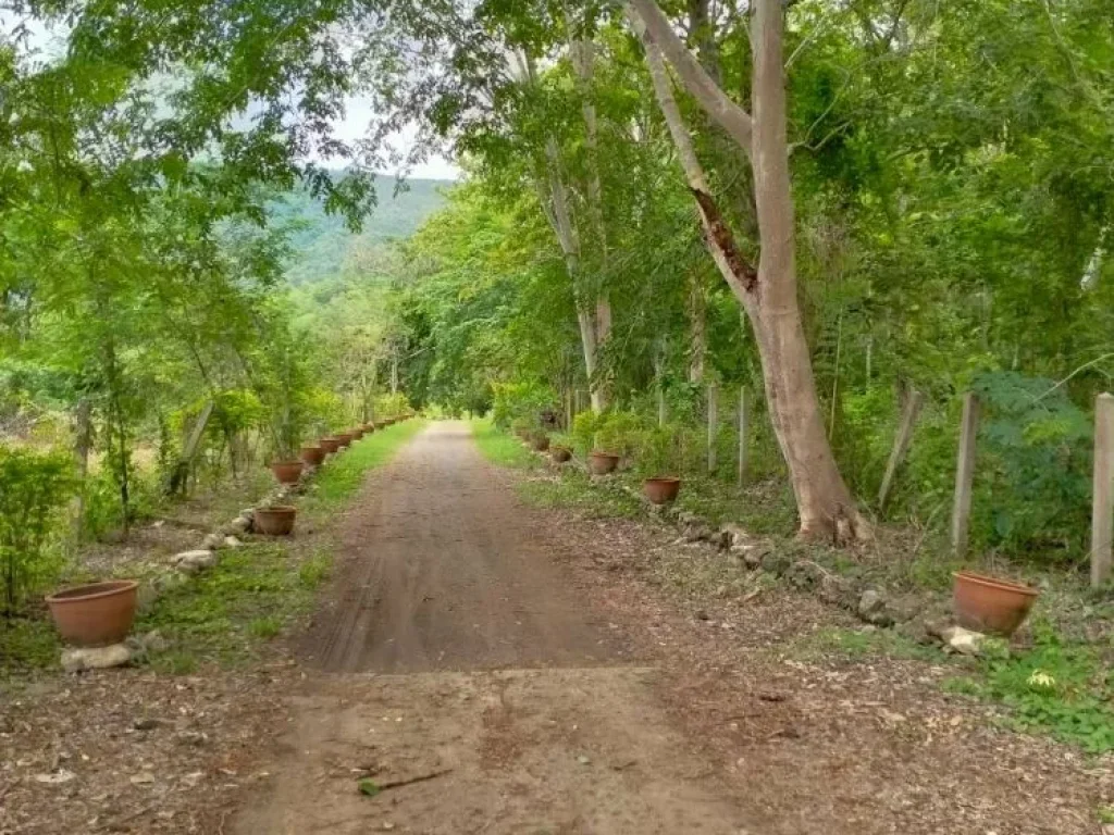 ขายที่ดิน แม่ออน เชียงใหม่