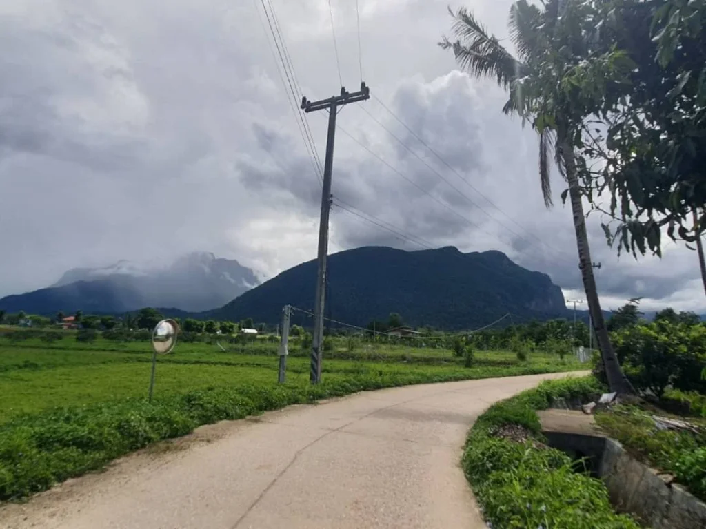 ขายที่ดินวิวดอยหลวง วิวดอยนาง เชียงดาว หลายแปลงราคาถูก