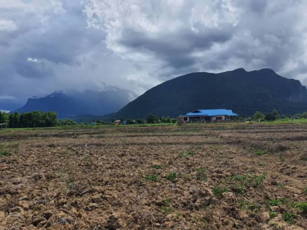 ขายที่วิวดอยหลวง วิวดอยนาง เชียงดาว เชียงใหม่