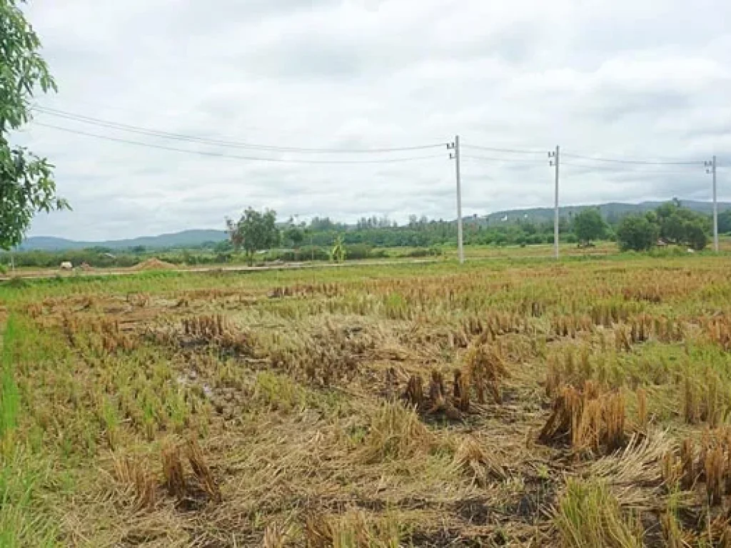 ขายที่ดิน ตำบลแม่แฝก อำเภอสันทราย จังหวัดเชียงใหม่ ติดถนนคอนกรีต